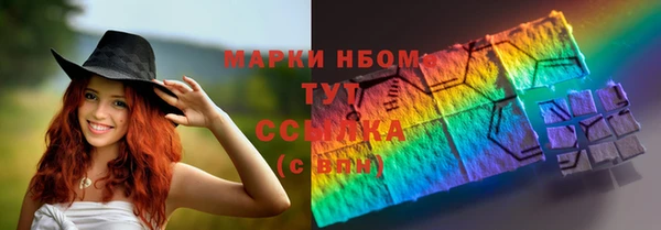 стаф Новозыбков