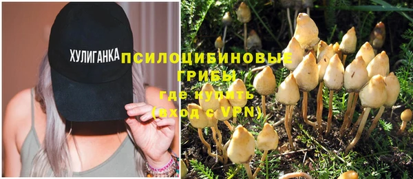 дживик Арсеньев