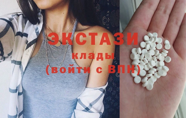 индика Новодвинск