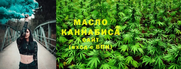 индика Новодвинск